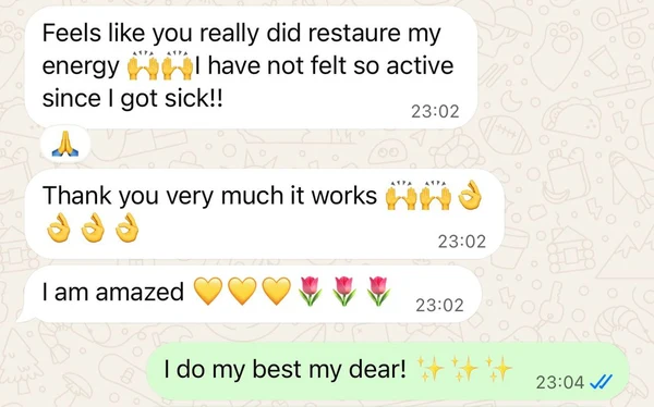 WhatsApp message from Mandana D.: Feels like you really did restore my energy. I have not felt so active since I got sick. Thank you very much, it works. I am amazed.